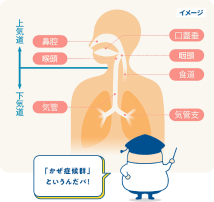 医師監修 のど 喉 の痛みを治すには？！原因と対処法のどぬ～るスプレー小林製薬
