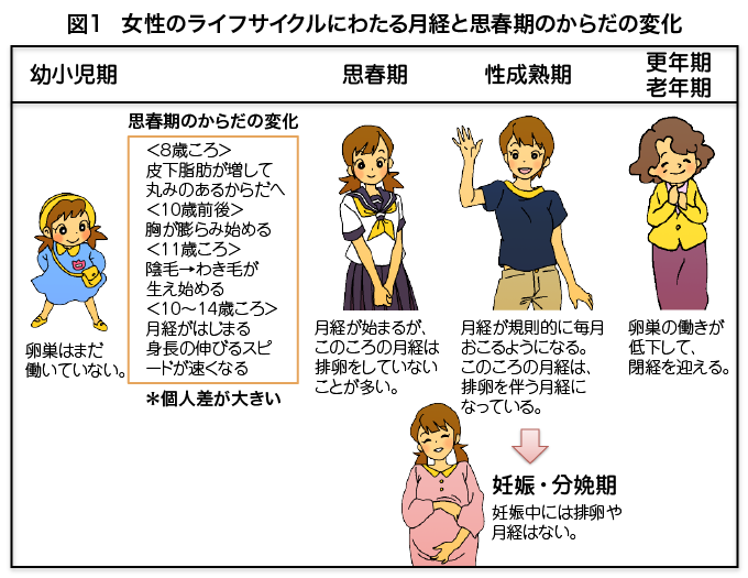 自分の体は恥ずかしいもの？」思春期の体の変化に戸惑う女性が見つけたヒント 画像5 16- レタスクラブ