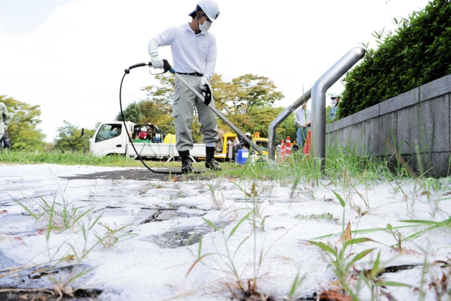 雑草に熱湯は効果ある？根まで枯らす方法とケルヒャー活用術も解説観葉植物のある暮らし