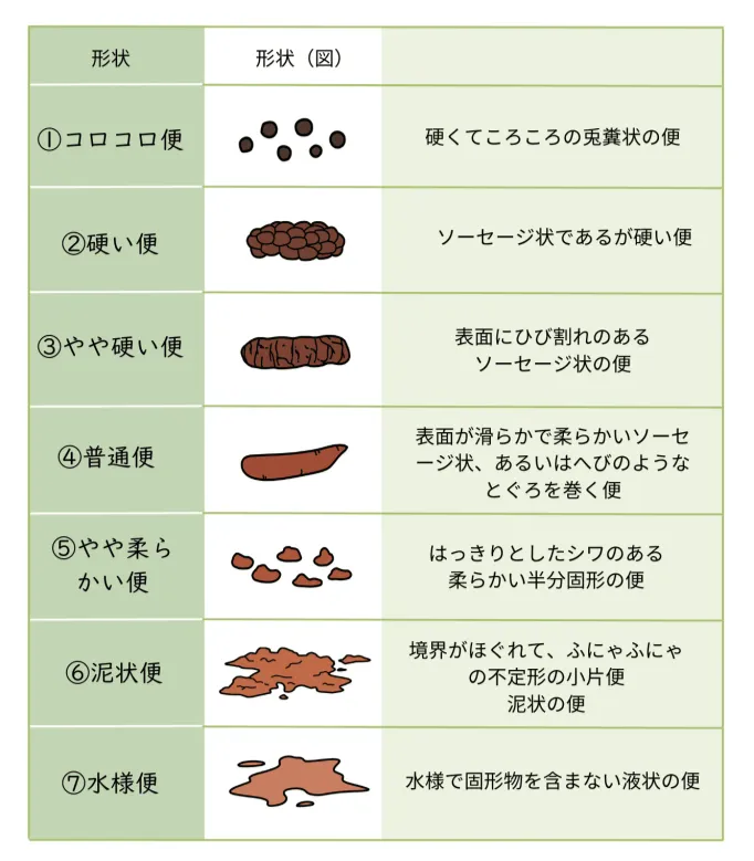 下痢症・便秘症・過敏性腸症候群健康コラム田中消化器科クリニック炎症性腸疾患診療や胃・大腸カメラ 内視鏡検査 を静岡市で実施