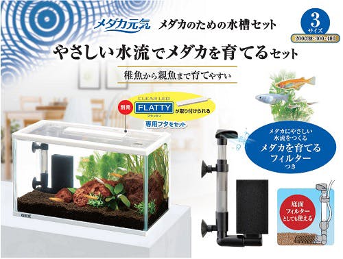 LIFELEX おさかな水きれいセット 300 300 : ペットホームセンターコーナンの通販サイト