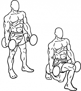 下半身全体を安全に鍛えられる「ダンベルランジ」やり方・ポイント解説 - 筋トレライブラリ