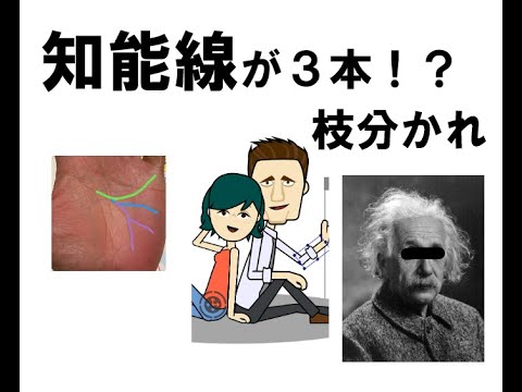 よくわかる手相の見方 性格と才能を表す知能線・頭脳線 マスカケ線・枝分かれ・二重知能線 仙乙恵美花