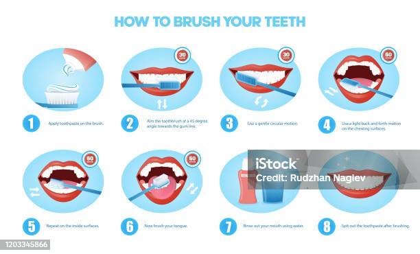 歯磨きのやり方 強さ 指導イラスト ひらがな解説つき フルカラー のイラスト素材79387336- PIXTA