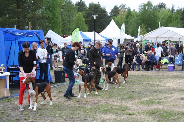 犬の声帯除去手術、目的や手術のリスクとは？ – OFT STORE