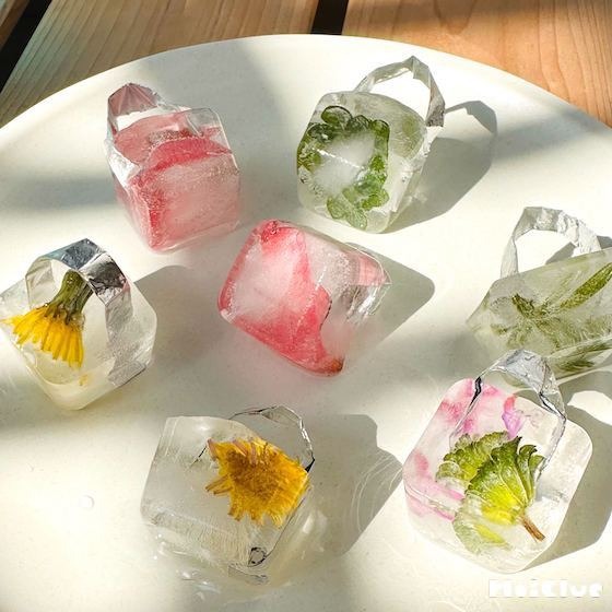 氷あそび 』 あかね組 0歳児日々の保育そあ季の花保育園社会福祉法人 砂原母の会