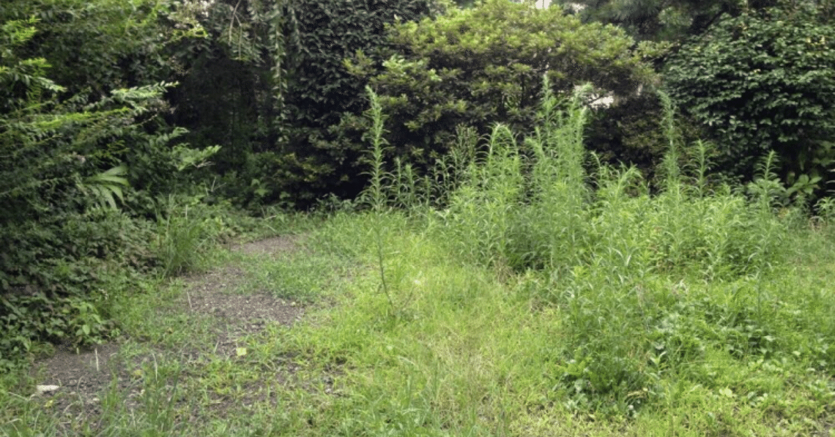 コロナうつ、イライラ、不眠たった1分でできる「おまじない」で身体の調子を整える！ダ・ヴィンチWeb