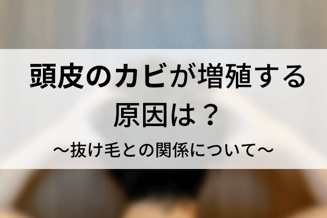プロが教える！頭皮カビを見逃すと薄毛に直結する残念な理由と解決策