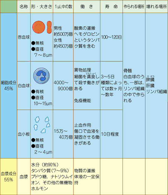 血液について 一般社団法人日本血液製剤協会