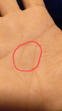 手相占い！スクエア 四角紋 のある意味15選！一発逆転・九死に一生・守られるなど！uranai cafe Quartz 占いカフェクオーツ