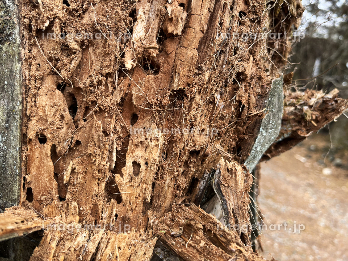 木製柱 屋外 の修復 腐食・割れ・傷み・フェイク塗装修復時代