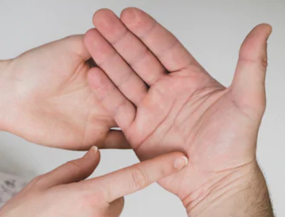 島田秀平さんに聞いた、手相で上げる「年末ジャンボ宝くじ」運オレンジページ ニュースデイリーオレンジページnet