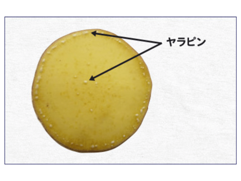 さつまいもダイエットは効果的？方法や食べ方を解説お菓子・パン材料・ラッピングの通販 cotta＊コッタ
