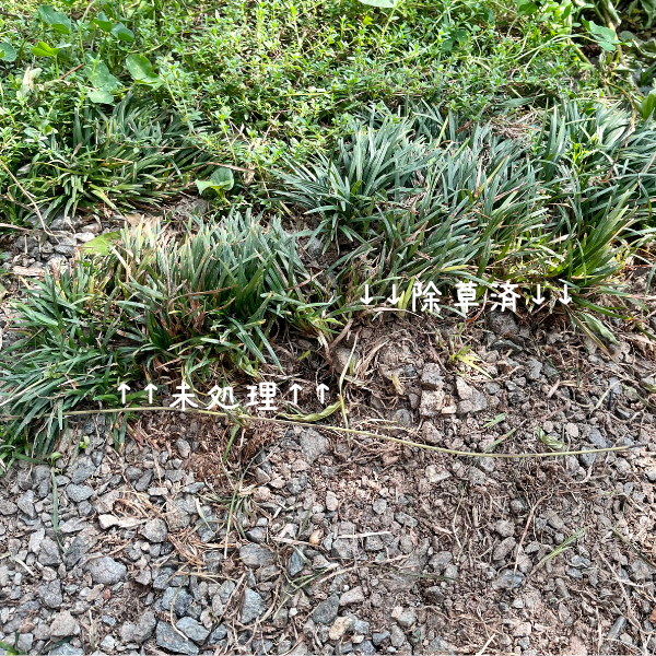 熱湯は除草剤の代わりになるのか？検証してみた！ブランド品の買取ならエコリング