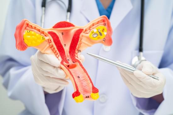 BEAMS F＞集合体恐怖症の方、失礼します。ビームスF 新宿BEAMS