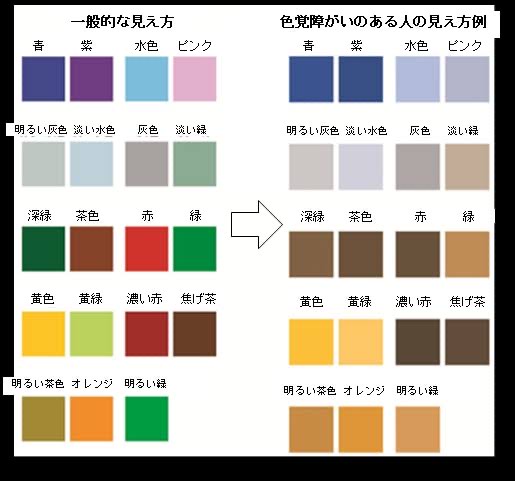 航空身体検査で、なぜ色覚異常はいけないのか？All Nippon Airwalks