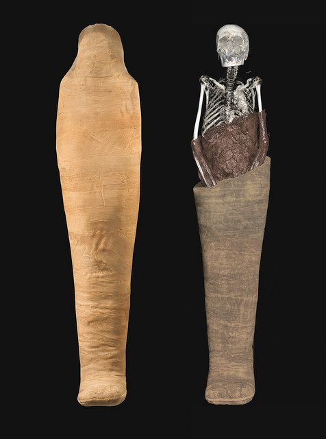 豊田市博物館開催中の古代エジプト展。ミイラの作り方の紹介がされてますが、家では魚のミイラが増えています。冷凍庫見るのが怖い；ﾟДﾟ,魚好き釣り好きフライフィッシングソルトルアーフィッシング日本酒好き日本酒で乾杯2025古代エジプト展