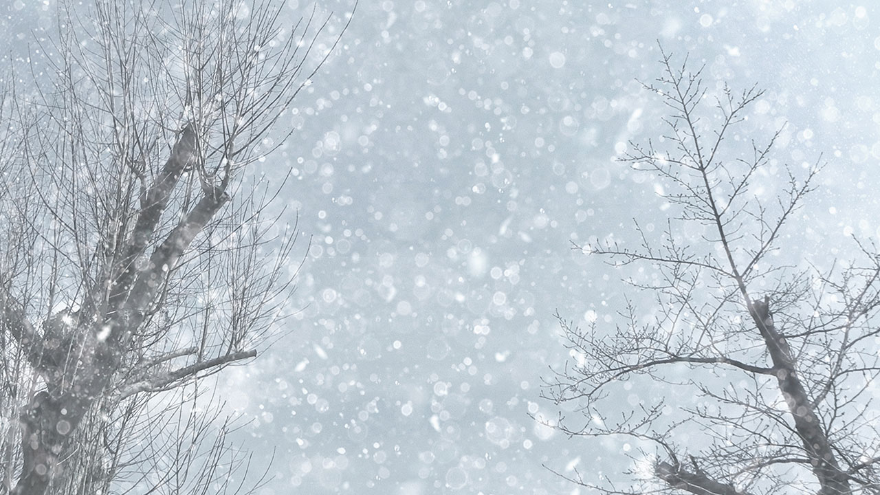 粉雪」の意味と由来！いつの季語？言い換え表現は？俳句も紹介語彙力.com