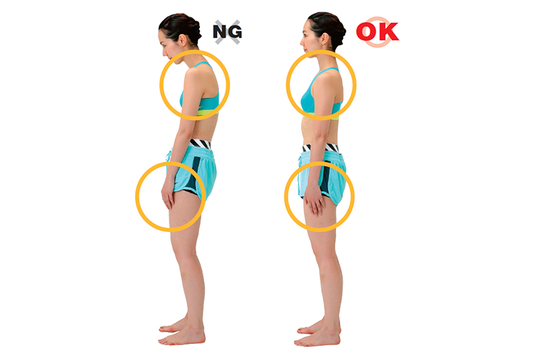 横から見た上半身の骨格イラストノウハウ
