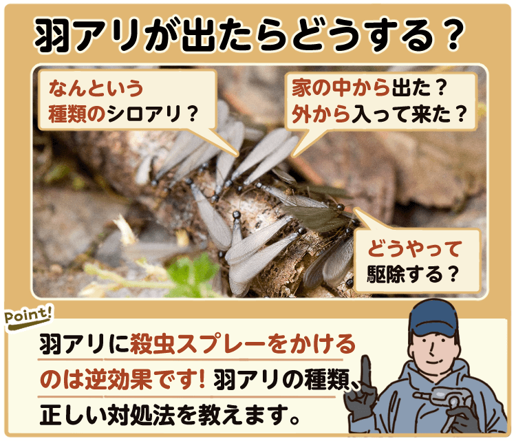 SHIMADA 日用品羽アリ 蛾 コバエ ユスリカ駆除 ムシペッタ 誘引捕獲器 : DIY 自分で出来る害虫駆除 - 通販 -Yahoo!ショッピング