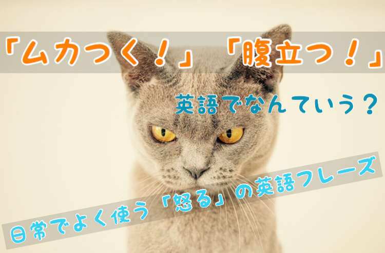 英語での「怒る」方法知ってる？いろいろな怒り方がわかる英語フレーズ集English Lab イングリッシュラボ ┃レアジョブ英会話が発信する英語 サイト
