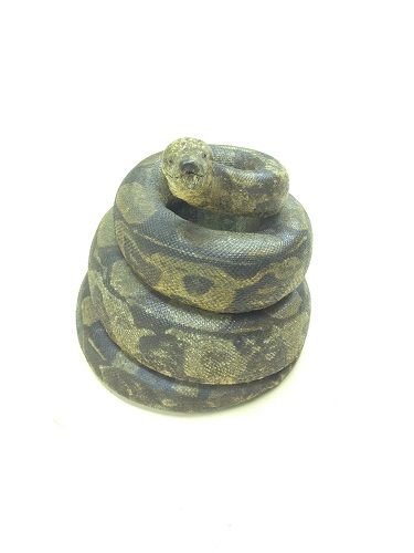 白蛇の置物 とぐろを巻く白蛇 開運 幸運の白蛇 ホワイトスネーク ラッキースネーク 風水 干支 巳 縁起物 巻き付く蛇 ヘビ 白蛇 金運 アクセサリー: AiO - 通販 - Yahoo!ショッピング