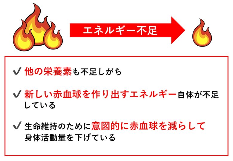 真性多血症とはベスレミによる治療を受けられる患者さんとご家族の方への情報サイトファーマエッセンシア ジャパン 株式会社