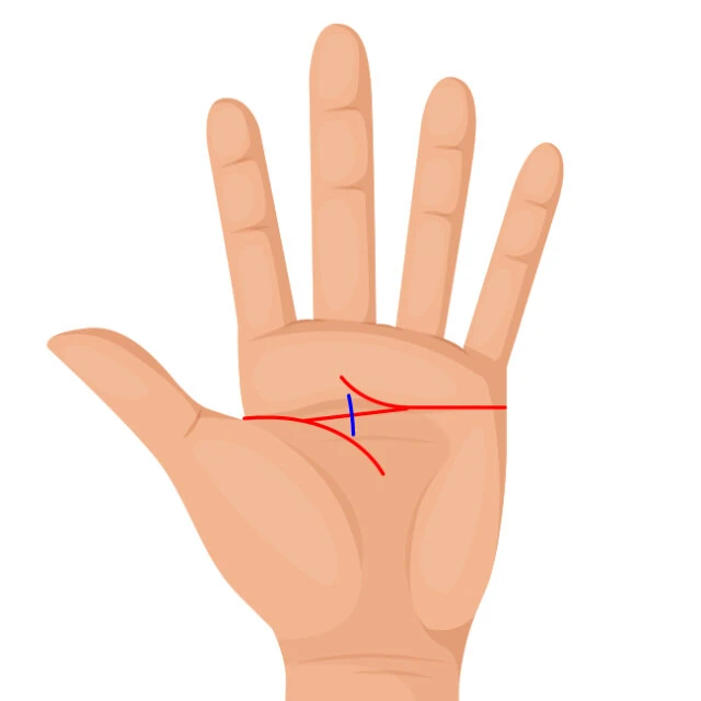 手相 S線・M線 金星環の一部 の意味と関連した線について星見るウサギの社