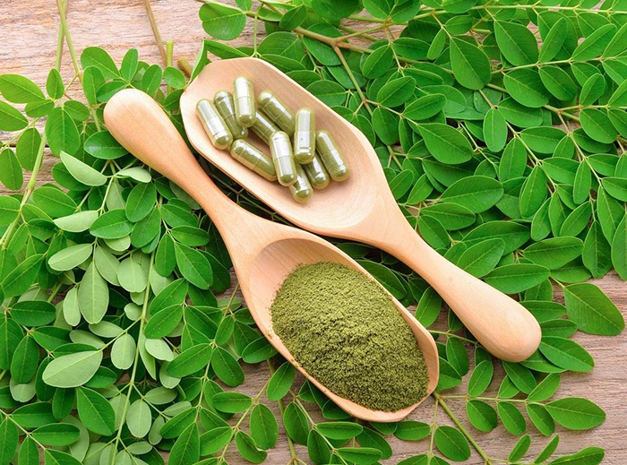 奇跡の樹モリンガ ヒルブランディーワサビノキスーパーフード 苗木 : 苗木部 花ひろばオンライン - 通販 - Yahoo!ショッピング