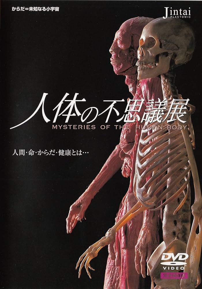 大型本 図録・カタログ 人体の不思議展 – AOBADO オンラインストア