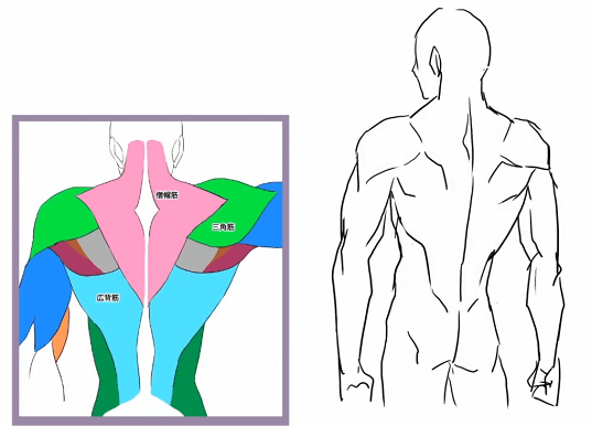 初心者も簡単！男性の筋肉のイラストの描き方 - オンラインイラスト教室アタムアカデミ