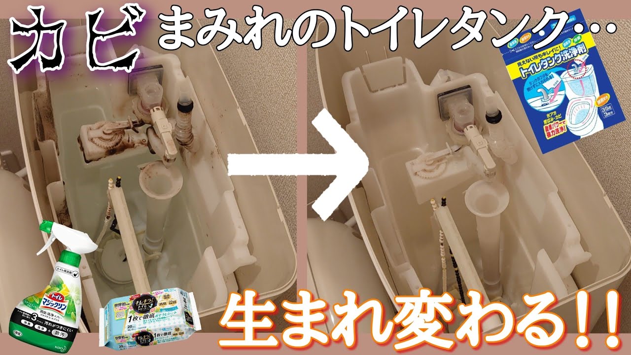 必ず役立つ カビキラー1本でトイレ室内から便器までまるごとトイレ掃除