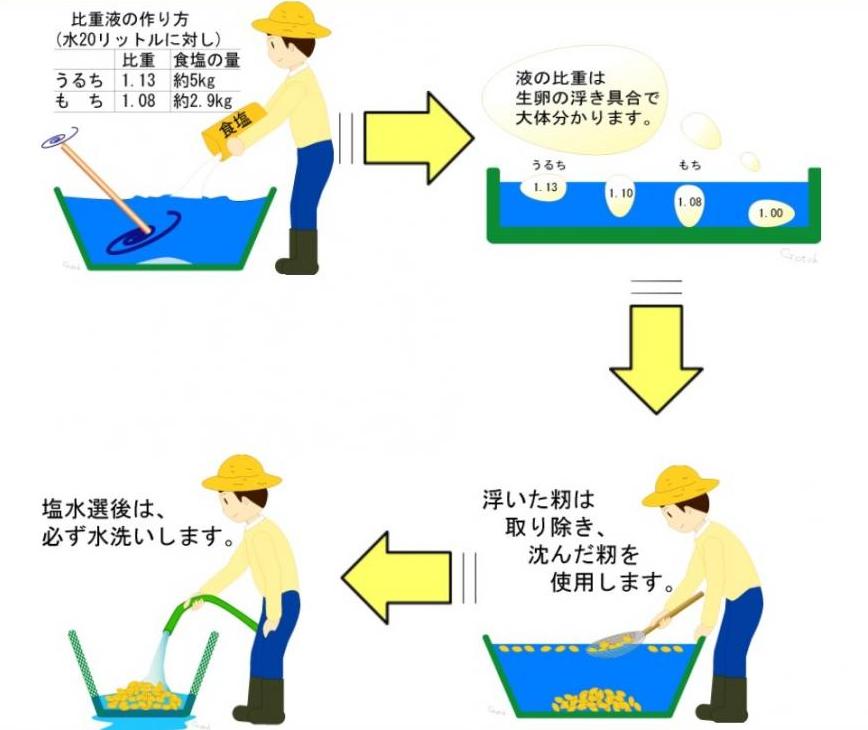 今月の農業 ２０２１年３月 営農事業 営農のこと JAグリーン近江 ぐりんぴーす