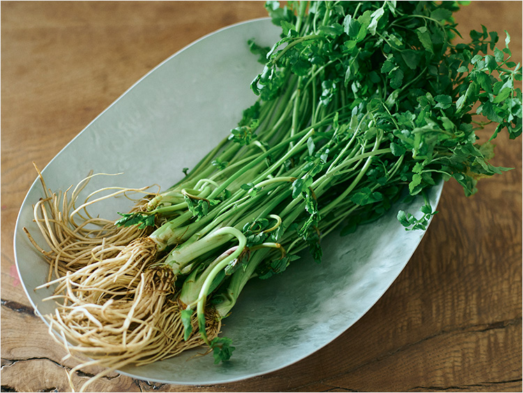 ご当地めし：春の七草でおなじみのセリ、実は「“根”がうまい！」 秋田県出身者に聞いたオススメの食べ方をご紹介ねとらぼ