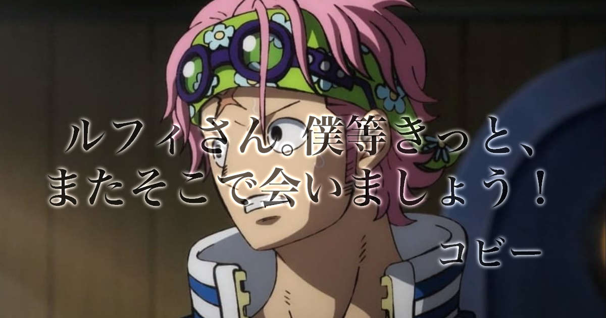 ワンピース考察 コビーの勇気Metis