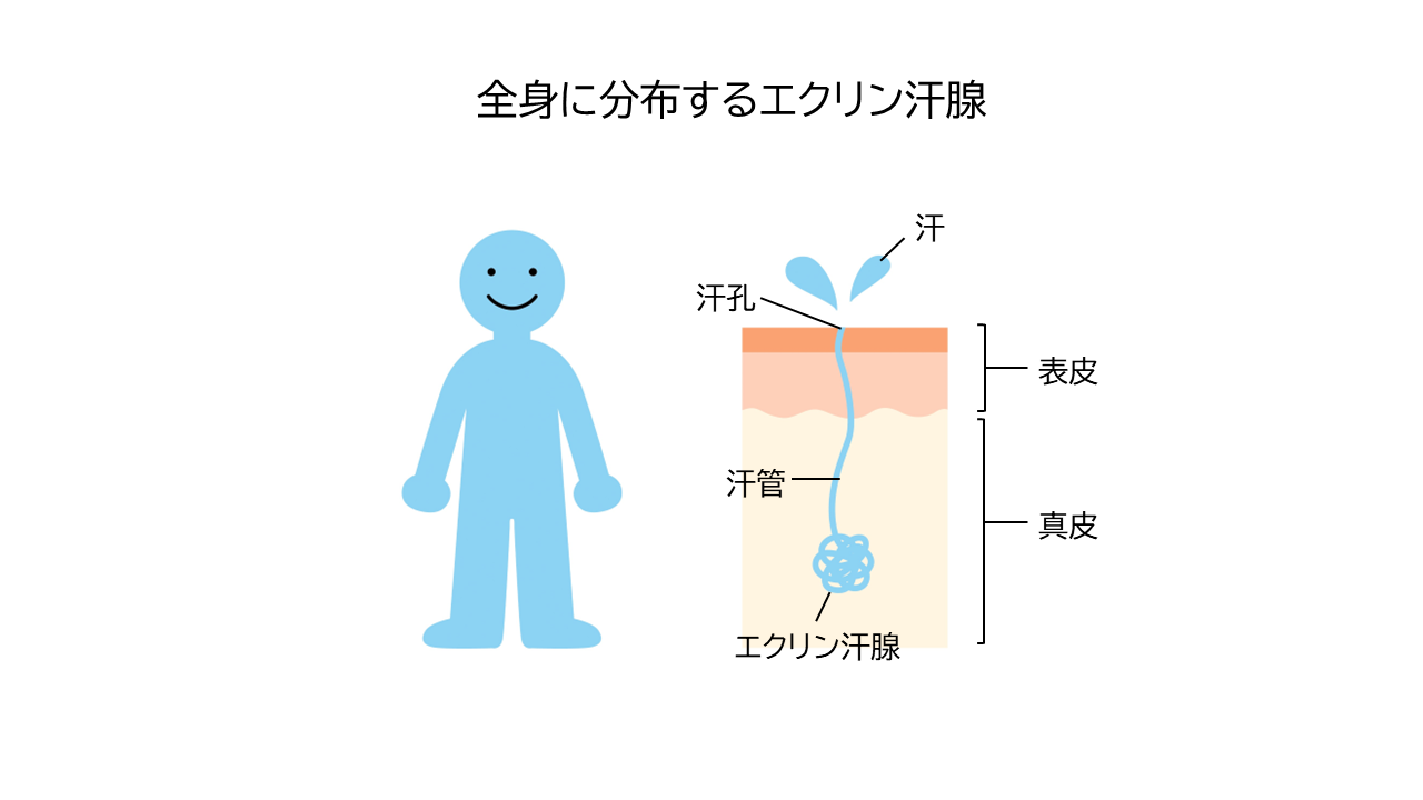 ストレスが原因となる皮膚トラブル薬局・薬店で相談できる皮膚トラブルヒフシルワカル