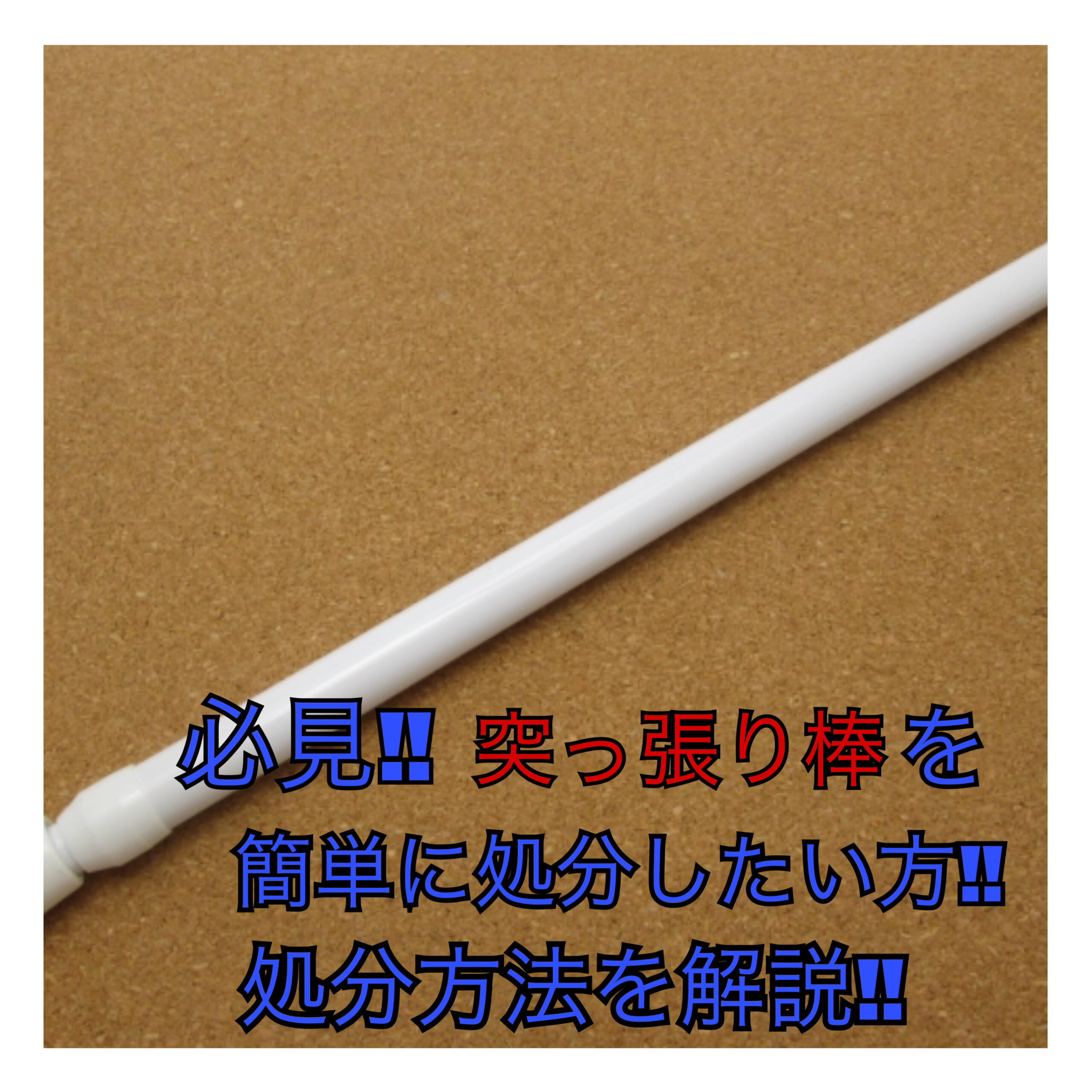 突っ張り棒 つっぱり棒 突っ張り つっぱり 棒 伸縮 伸縮棒 幅70〜110cm 耐荷重5〜2kg 伸縮棒超スリム RSV-110 物干しアイリスオーヤマ スリム 洗面所 洗濯物 押入れ ハンガー クローゼット 一人暮らし 引っ越し収納・家具・寝具の収納宅配館
