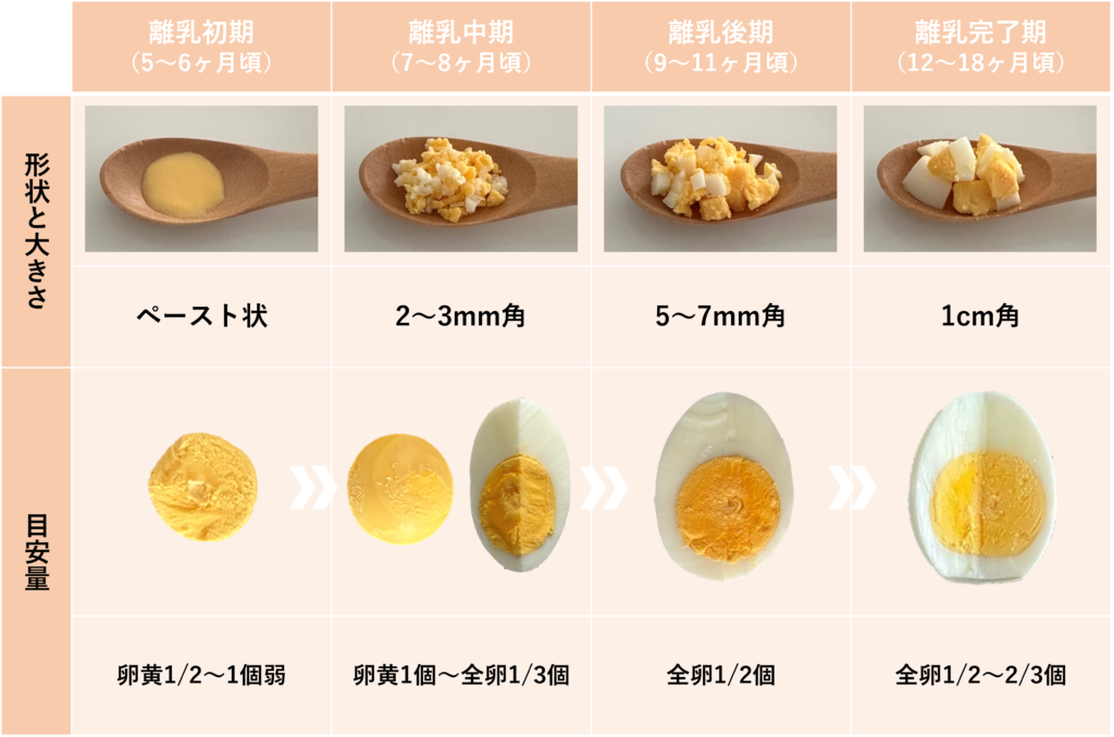 管理栄養士監修 離乳食のゆで卵レシピや冷凍保存方法も紹介トモニテ