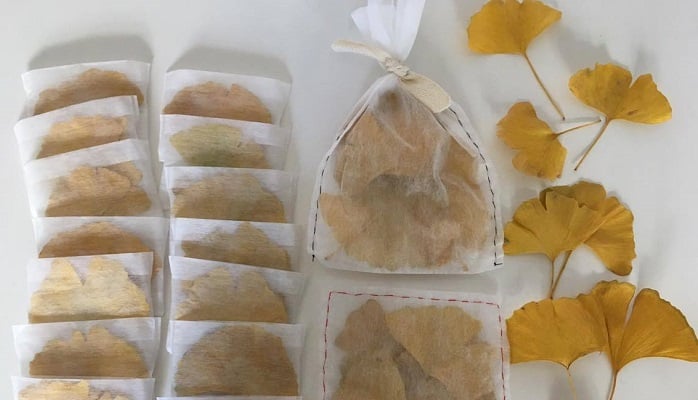 イチョウは隠れスーパーフード？！薬草として使われるイチョウ葉の健康効果 – シードコムス本店