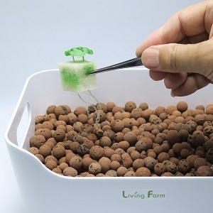 ペットボトルで自作水耕栽培 – かもめ日記