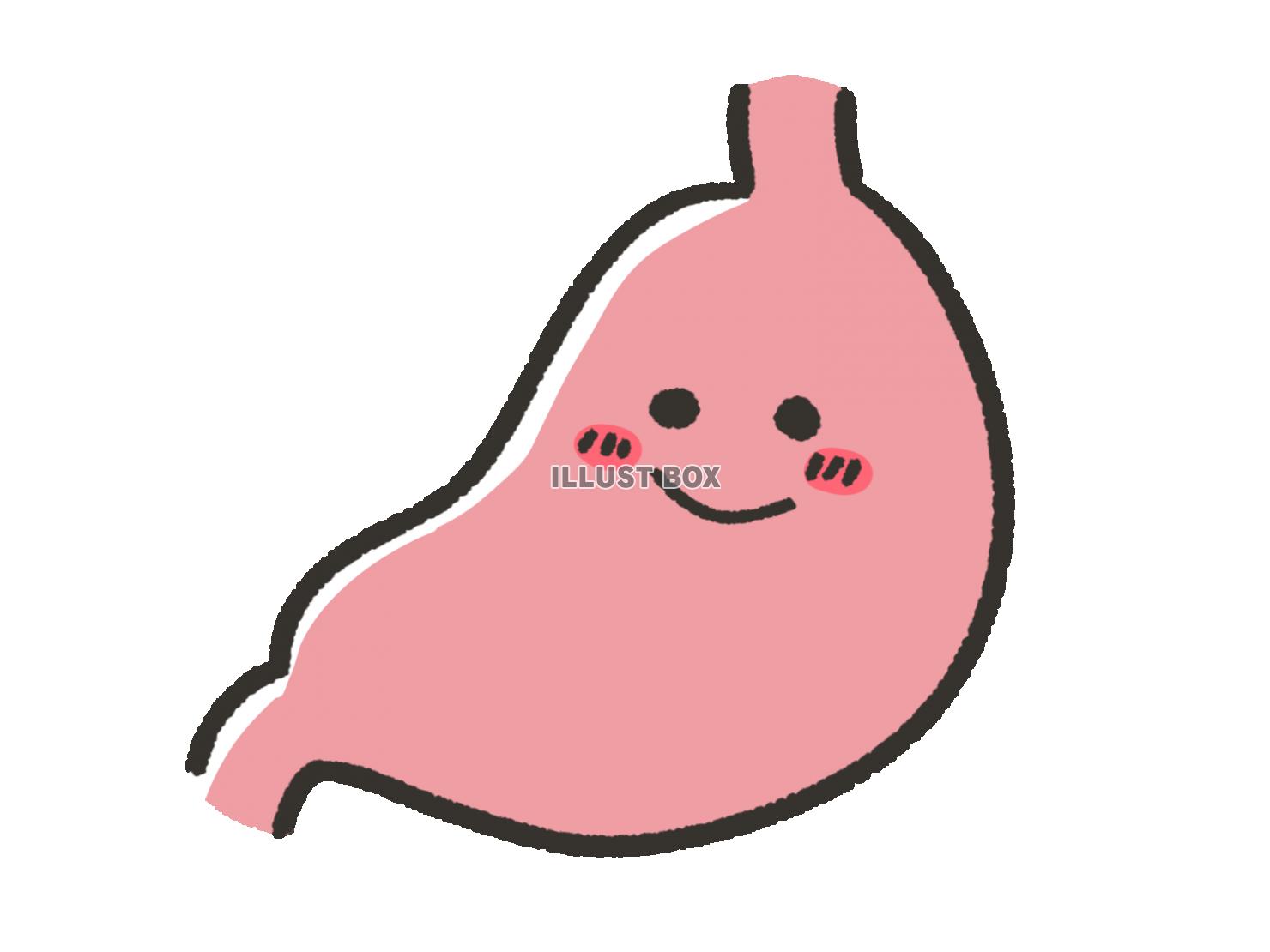 胃のイラスト ※着色あり🎨 フリー素材 看護roo! カンゴルー