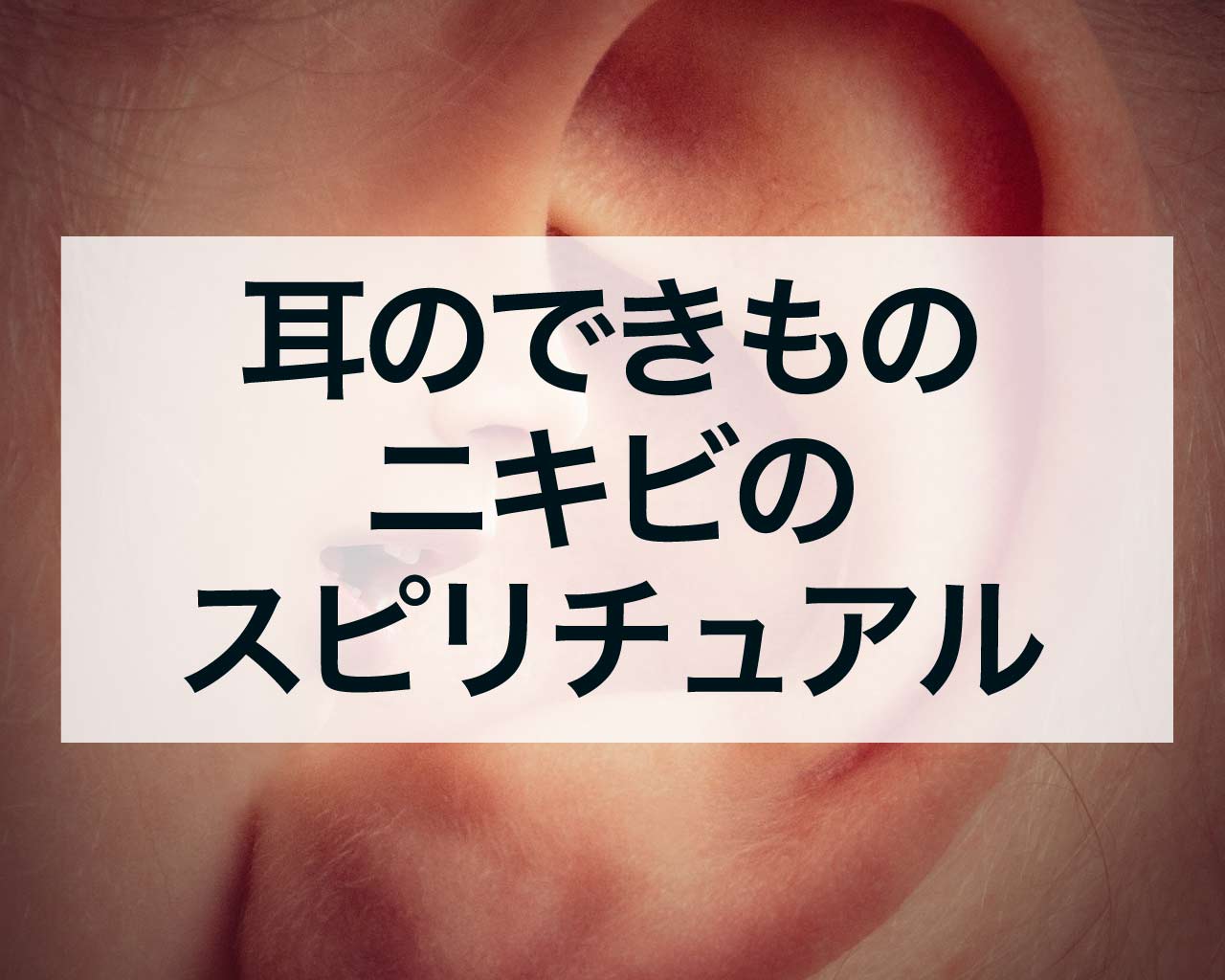 大学生info Uni-Search on X: 