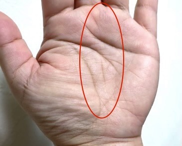 手相鑑定例 vol.1-1－運命線について奇門遁甲&九星気学の吉方位・引越し鑑定宇佐應凜 うさおうりん