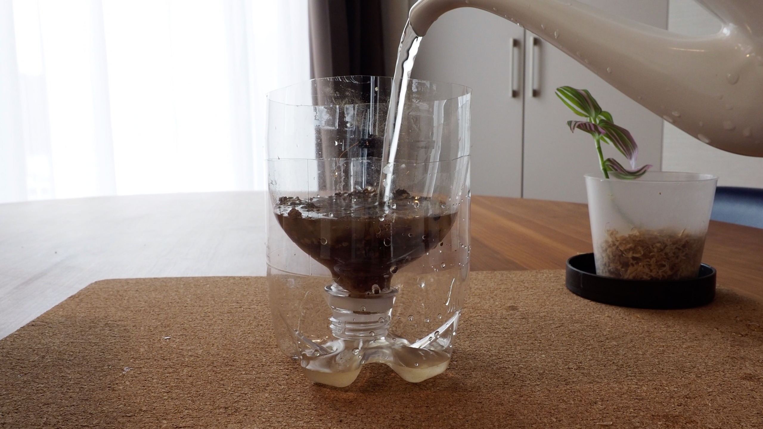 水やり必要なし！ペットボトルのプランターをDIY