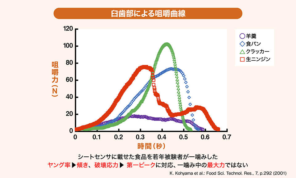 食べ物の噛みやすさが数値でわかる！？ – 噛むこと研究室