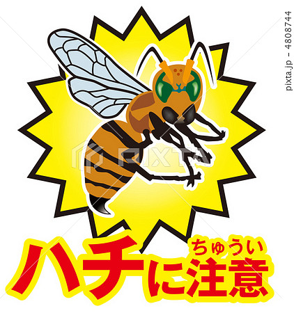 ハチ注意A-19のイラスト素材4808744- PIXTA