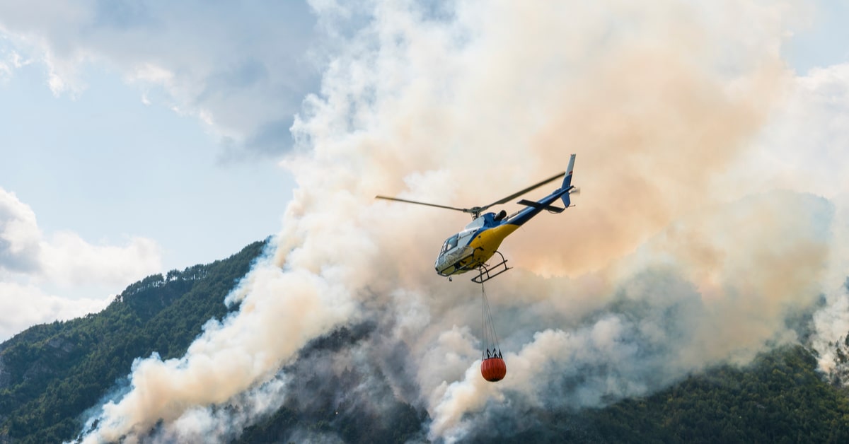 森林火災は日本北東部と西部を襲い、過去10年間で最大