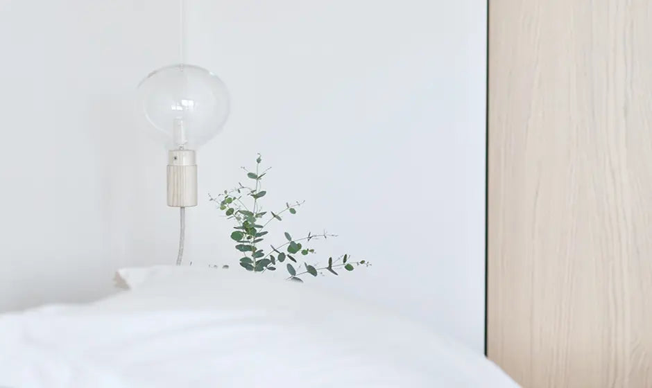 補修スプレー ふそう ナチュラルホワイト0099