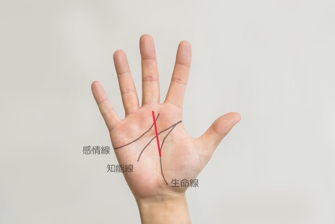 手相占い 「頼みごとを断れず、期待に応えようとして疲れてしまう」人の自信のつけ方卯野たまごの空気を読まず手相を読むmi-mollet ミモレ明日の私へ、小さな一歩！ 2 2