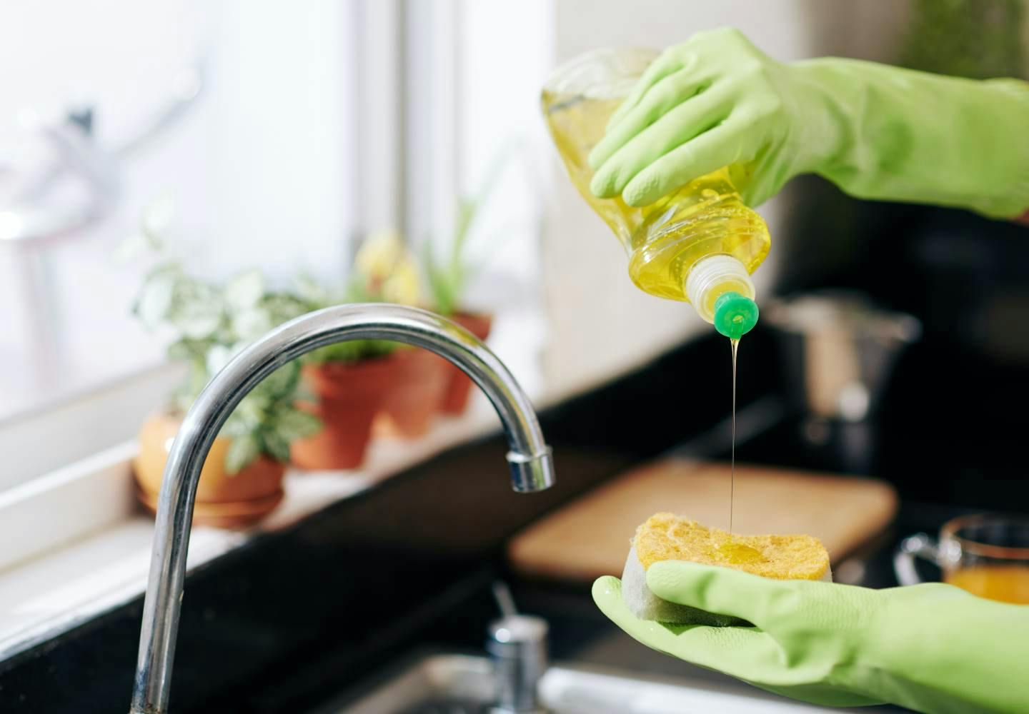 猫のトイレどこで洗うのが最適？マンション暮らしの工夫も紹介 - ペットらぶナビ